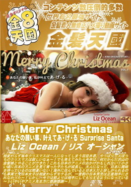 Merry Christmas あなたの願い事、叶えてあ・げ・る Surprise Santa Liz Ocean リズ・オーシャン