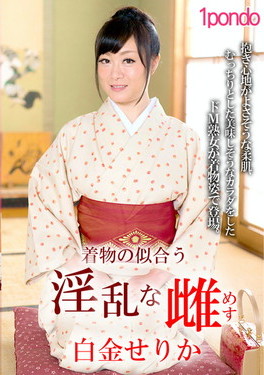 着物の似合う淫乱な雌 / 白金せりか