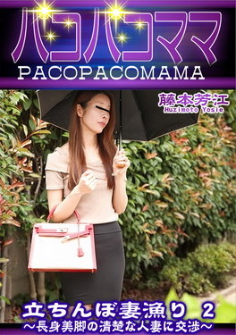 パコパコママ 立ちんぼ妻漁り 2